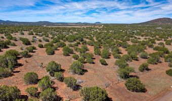 84 County Road N8149, Concho, AZ 85924