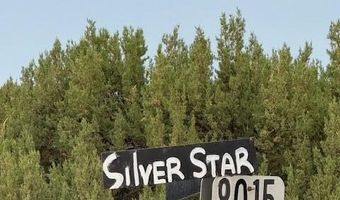 76 County Road 8010, Concho, AZ 85924
