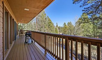 30 Chino Ter, Angel Fire, NM 87710