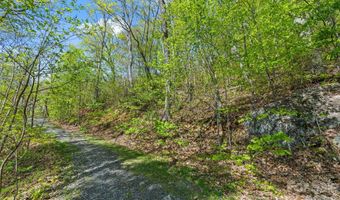 21 Reillys Bluff Rd 1, Barnardsville, NC 28709