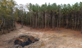 00002 Trickhambridge Rd, Brandon, MS 39042