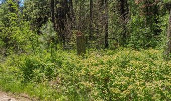 513 Susan Rd 42, Cascade, ID 83611