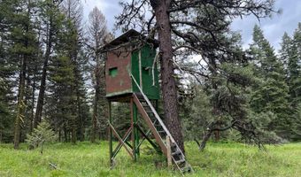 3695 W Mountain Rd, Anatone, WA 99401
