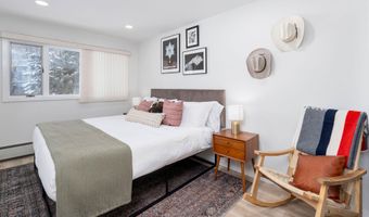 100 E DEAN St 1D, Aspen, CO 81611