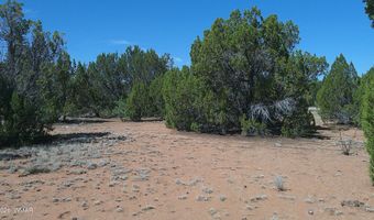 Concho Valley lot 3, Concho, AZ 85924