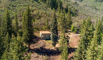 768 Kings Lake Rd, Basalt, CO 81621