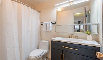 700 S Monarch St 207, Aspen, CO 81611