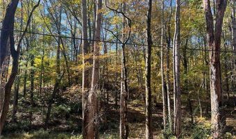 10494 Ball Ground Hwy, Ball Ground, GA 30107