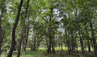Tbd NW 67TH BOULEVARD, Alachua, FL 32615