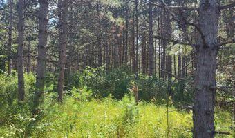 Lot 114 County Road Z, Arkdale, WI 54613