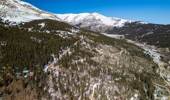 944 Roberts Rd, Alma, CO 80420