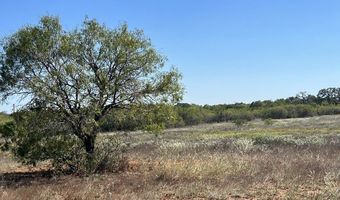 13710 Us Highway 87 S, Adkins, TX 78101