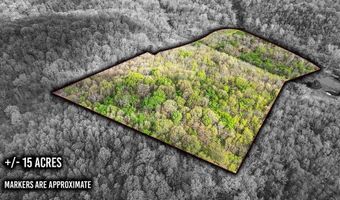 TBD Stogdon Hollow RD, Anderson, MO 64831