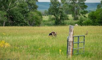 287 Spring Creek Rd, Absarokee, MT 59001