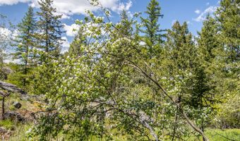 87 Rock Ridge Way, Bigfork, MT 59911