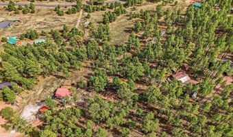 6 N CR 2148, Alpine, AZ 85920