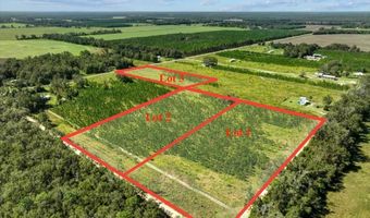 Lot 1 50th Ave, Bell, FL 32619