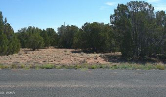 Concho Valley lot 3, Concho, AZ 85924