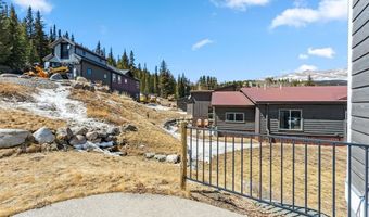 255 FLANNIGAN Cir, Alma, CO 80420