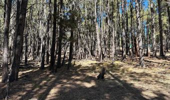 Lot 7 Blk D St Andrews Way, Angel Fire, NM 87710