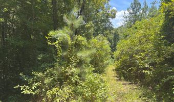 0 CR-215, Ariton, AL 36311