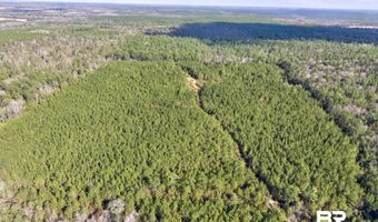 Jones Lane, Bay Minette, AL 36507