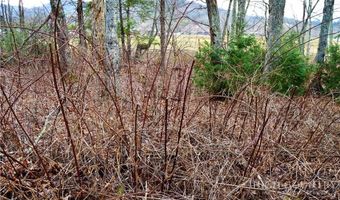 Pasture Lane lot 8, Banner Elk, NC 28604