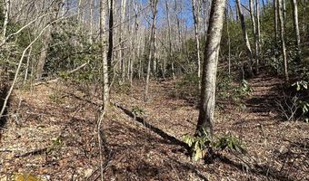 Lot 7 Valley View Heights Lane, Andrews, NC 28901