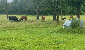 9250 County Road 905, Alpena, AR 72611