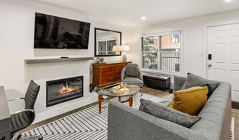 1020 E Durant Ave 203, Aspen, CO 81611