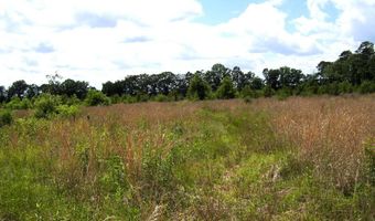 217 Lr 182, Ashdown, AR 71822