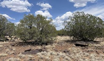 11 Cxx W Old Rte 66, Ash Fork, AZ 86320