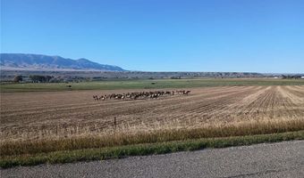1387 Meeteetse Trl, Belfry, MT 59008