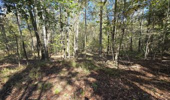 7501 Rainey Morris Rd, Appling, GA 30802
