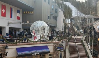 46 Avondale Ln 307, Beaver Creek, CO 81620