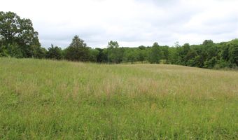 679 Calvert Rd, Adolphus, KY 42120