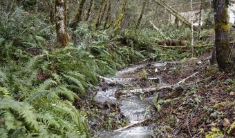 6228 UPPER COW CREEK Rd, Azalea, OR 97410