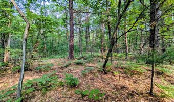 Hillside Drive, Alger, MI 48610