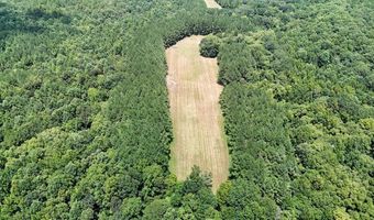 Pleasant Hill Road, Ashland, MS 38603