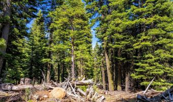 8735 Bering Rd, Alturas, CA 96101