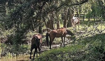 23261 Tuckahoe, Alva, FL 33920