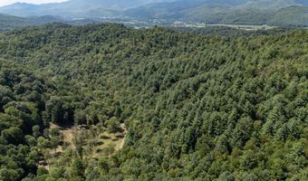 0 Chestnut Flts, Andrews, NC 28901