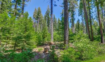 11 Timber Trail Ct, Arnold, CA 95223