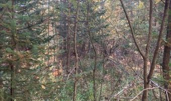 9165 Afton Rd, Afton, MI 49705