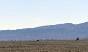Oregon Pines Road, Beatty, OR 97621