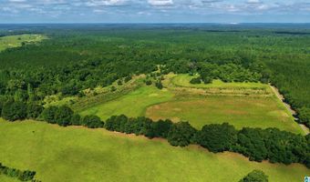 22880 OLD WEEKLY ROAD Lot 40 Acres, Bay Minette, AL 36507