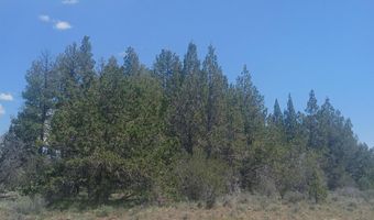 Toddy Drive Lots 18,19,&20, Beatty, OR 97621