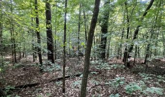 0 ANDREW JACKSON Rd 19, Alexander City, AL 35010