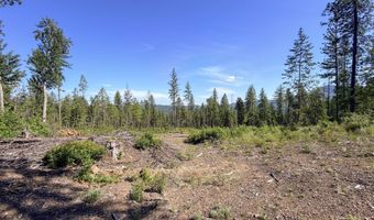 2008 SUMMIT VALLEY Rd Lot F, Addy, WA 99101