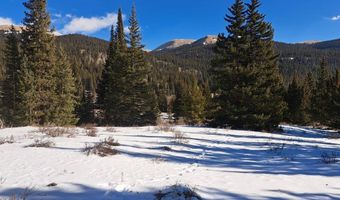 3553 RIVER Dr, Alma, CO 80420